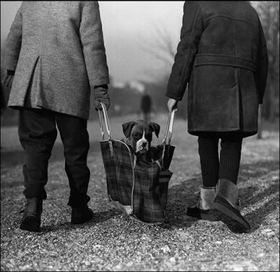 Kiállítási felhívás – „Eltévedt figurák: pillanatok Rejtő nyomán”