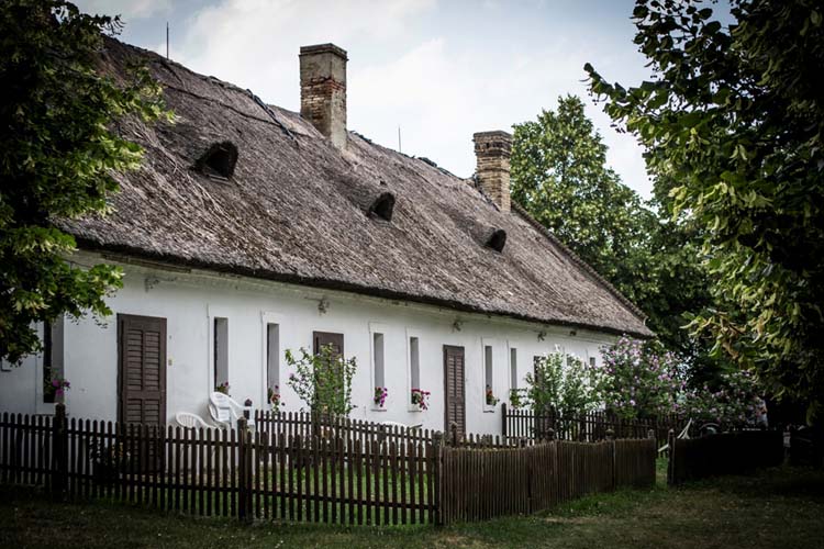 Kelemen Petra fotográfus vizsgaremek 