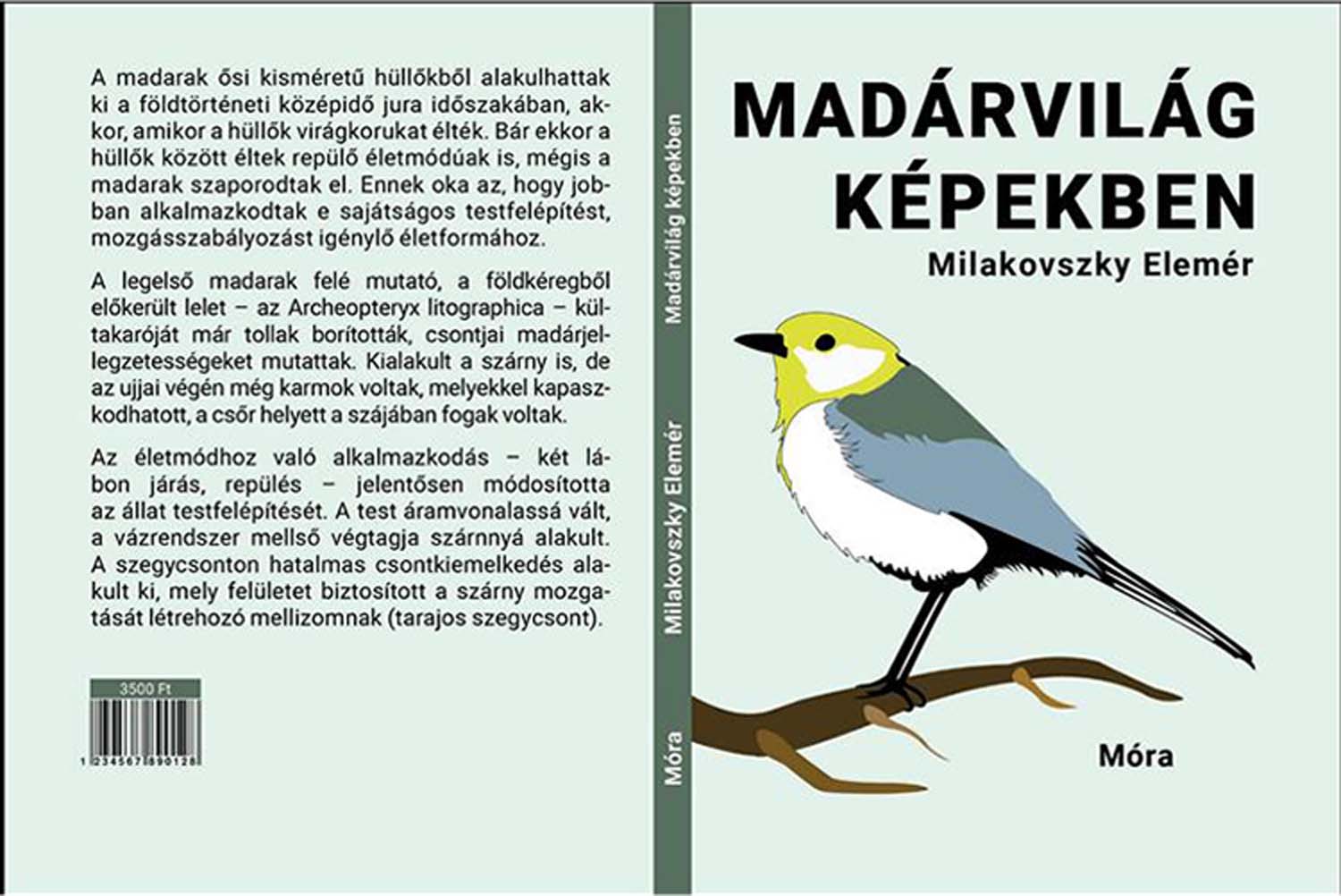 Samu Márton grafikus képzés végén leadott portfólió 