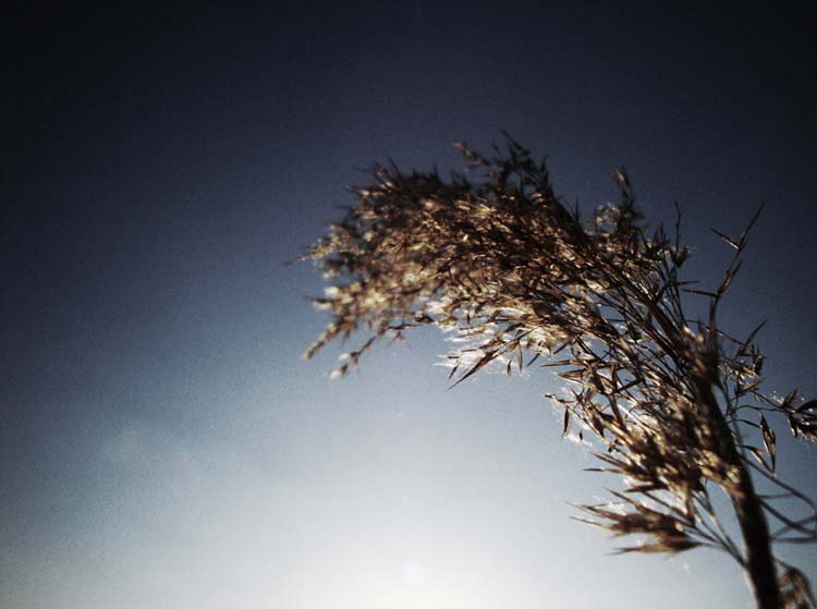 Czabán Máté fotográfus vizsgaremek 