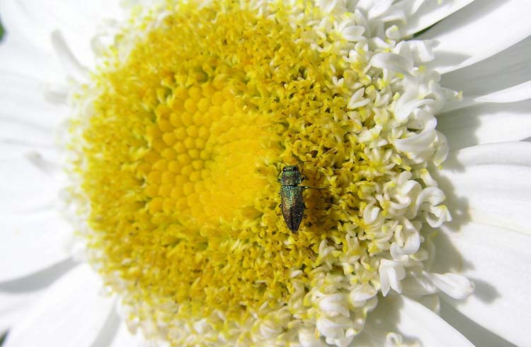 Czabán Máté fotográfus vizsgaremek 