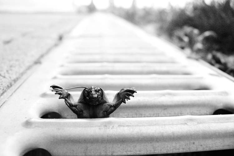 Czabán Máté fotográfus vizsgaremek 