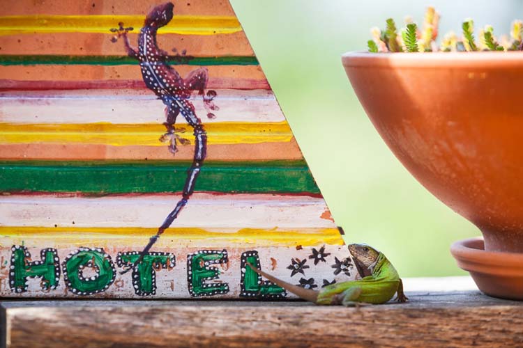 Czabán Máté fotográfus vizsgaremek 