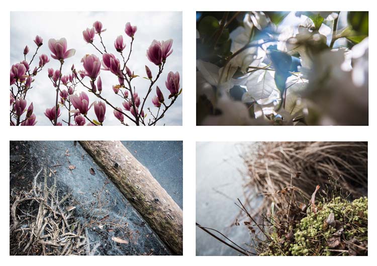 Czabán Máté fotográfus vizsgaremek 