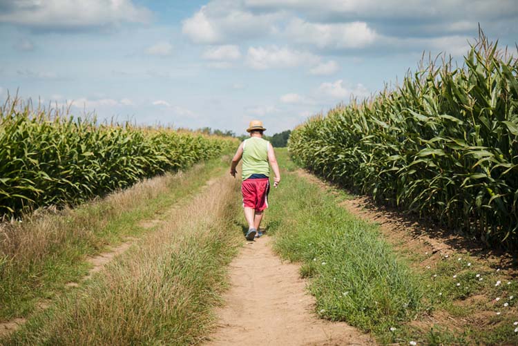Czabán Máté fotográfus vizsgaremek 