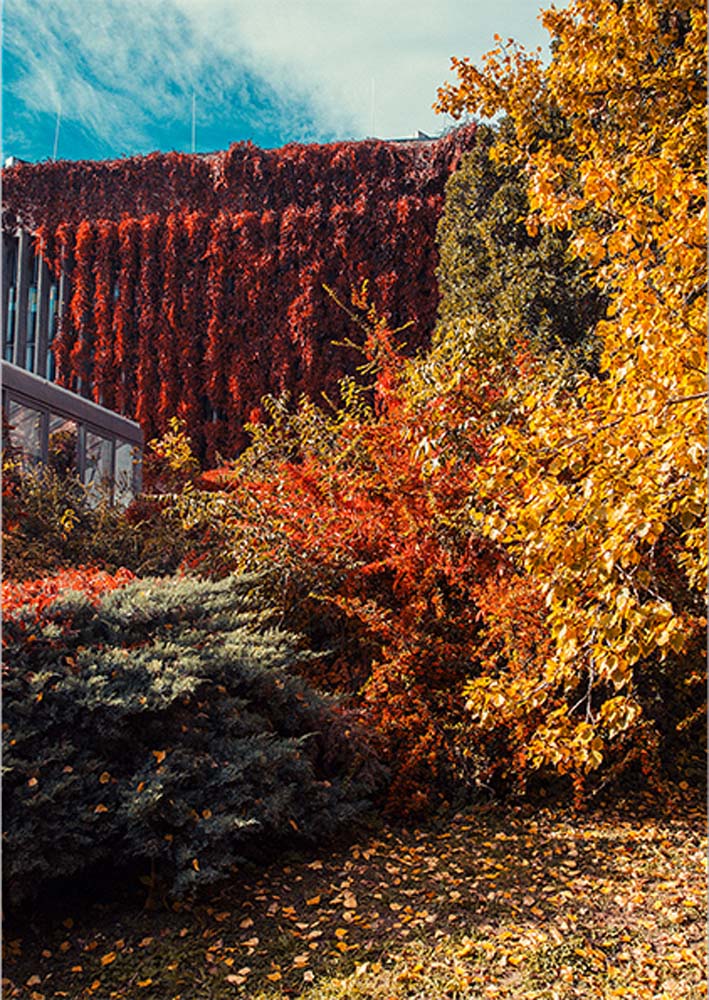 Fejes Imre fotográfus vizsgaremek 