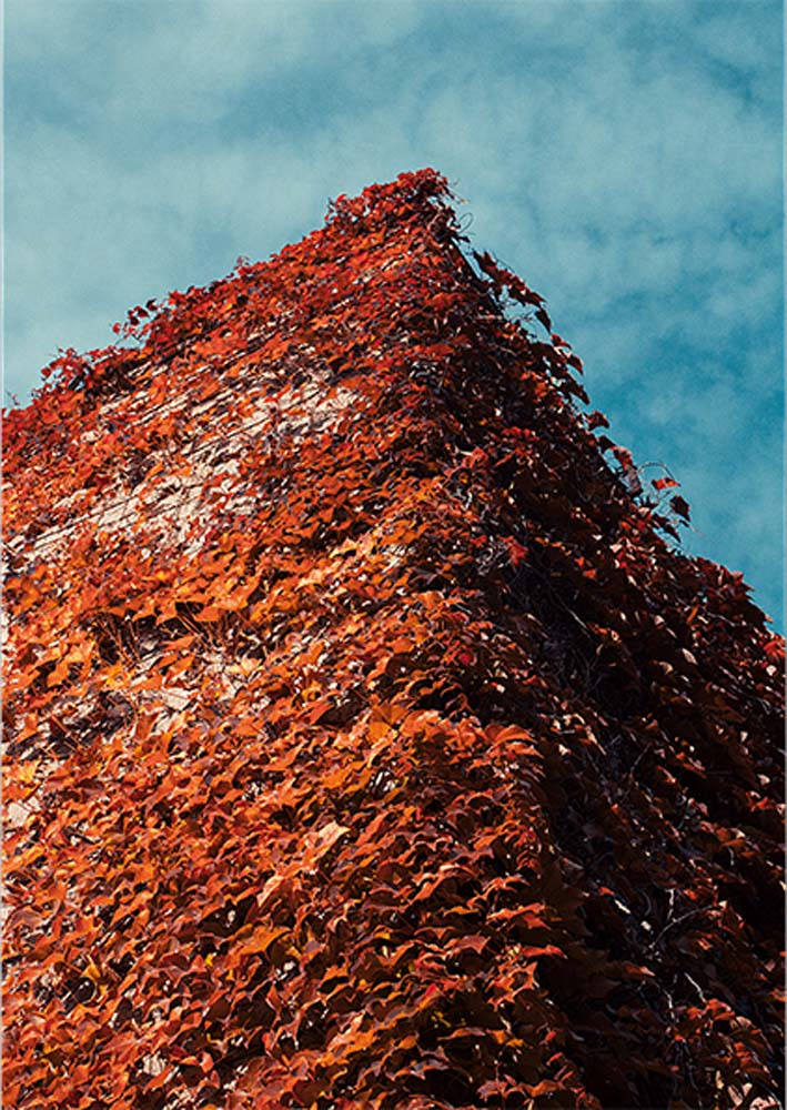 Fejes Imre fotográfus vizsgaremek 