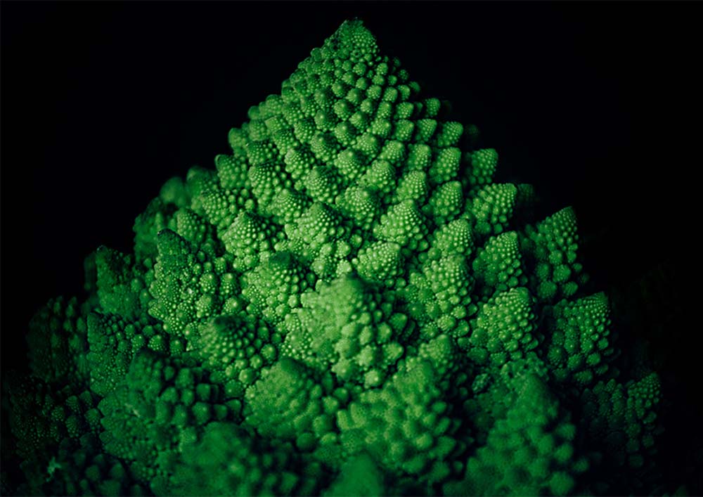 Fejes Imre fotográfus vizsgaremek 