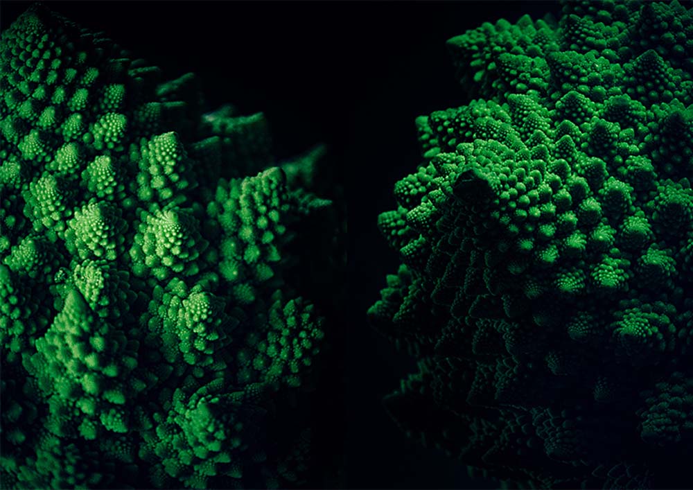 Fejes Imre fotográfus vizsgaremek 