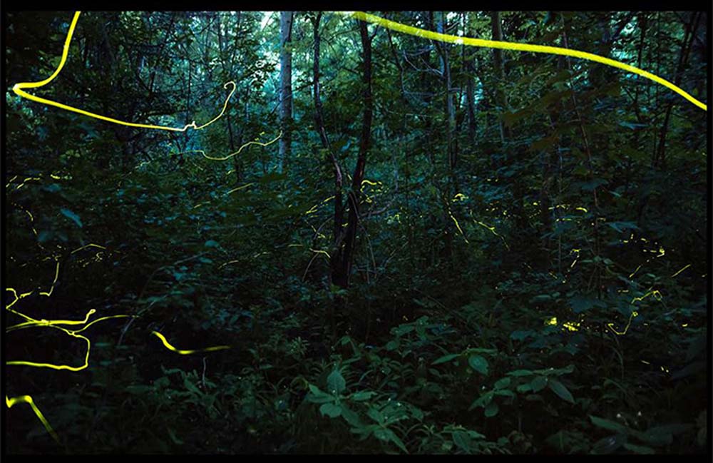 Kóczián Tamás fotográfus vizsgaremek 