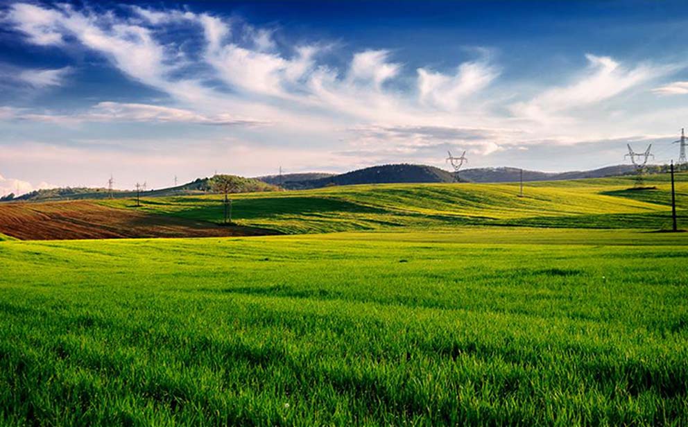 Kóczián Tamás fotográfus vizsgaremek 