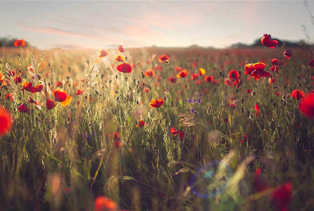 Mikus Kata fotográfus vizsgaremek 