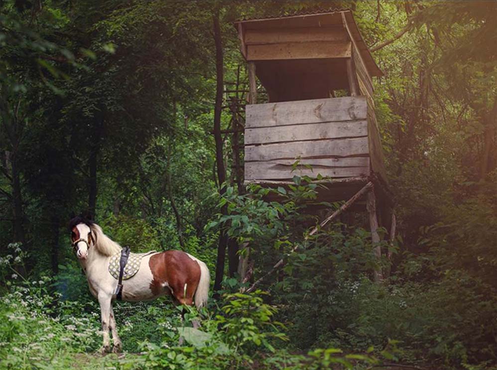 Mikus Kata fotográfus vizsgaremek 