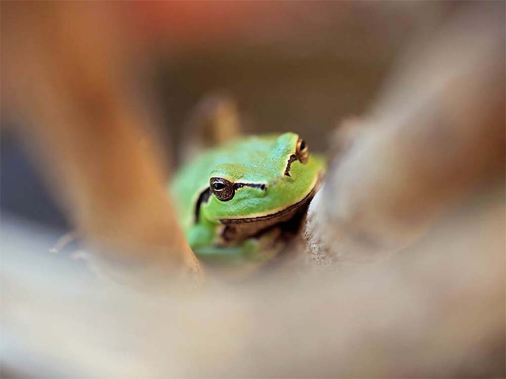 Mikus Kata fotográfus vizsgaremek 