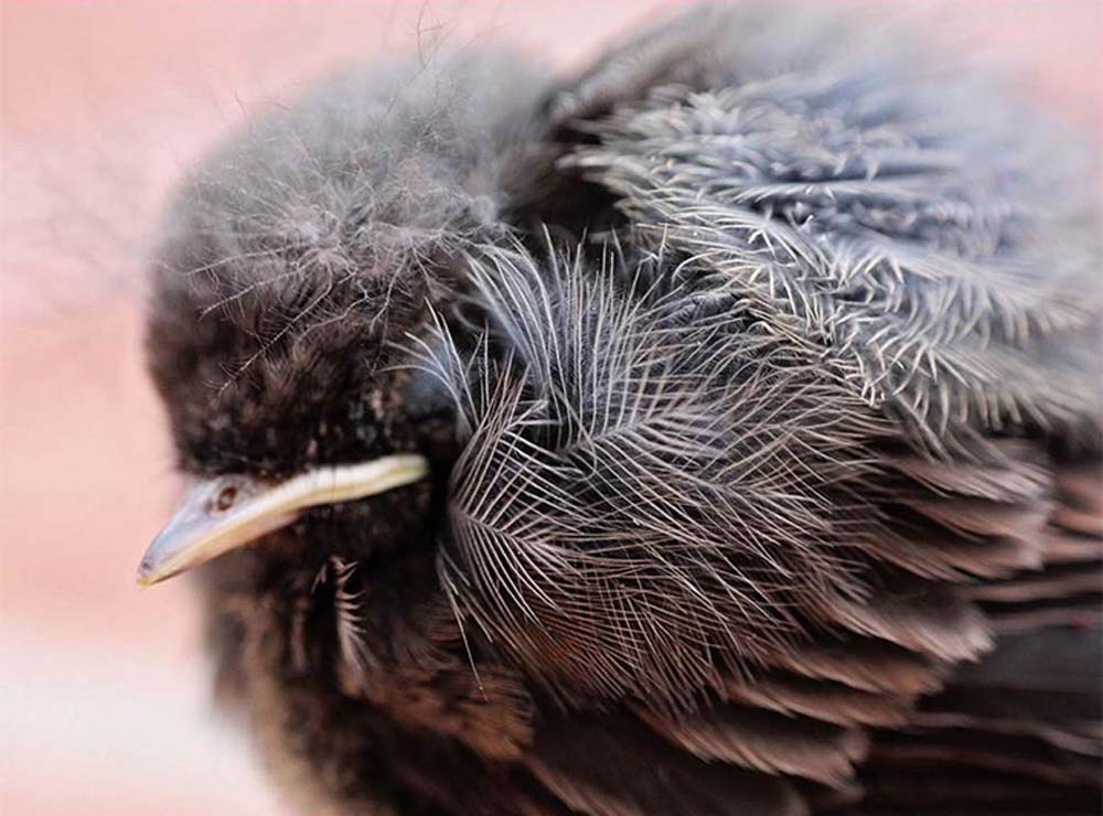 Mikus Kata fotográfus vizsgaremek 