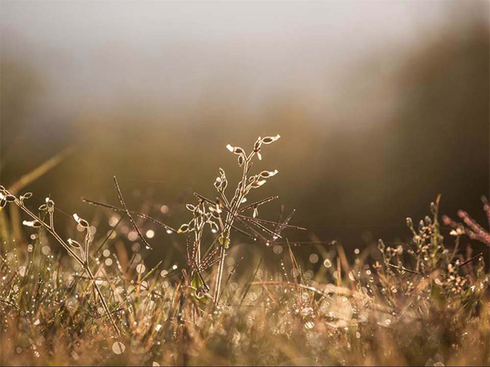 Mikus Kata fotográfus vizsgaremek 
