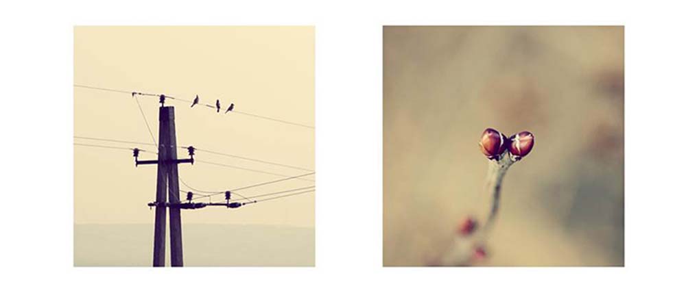 Mikus Kata fotográfus vizsgaremek 