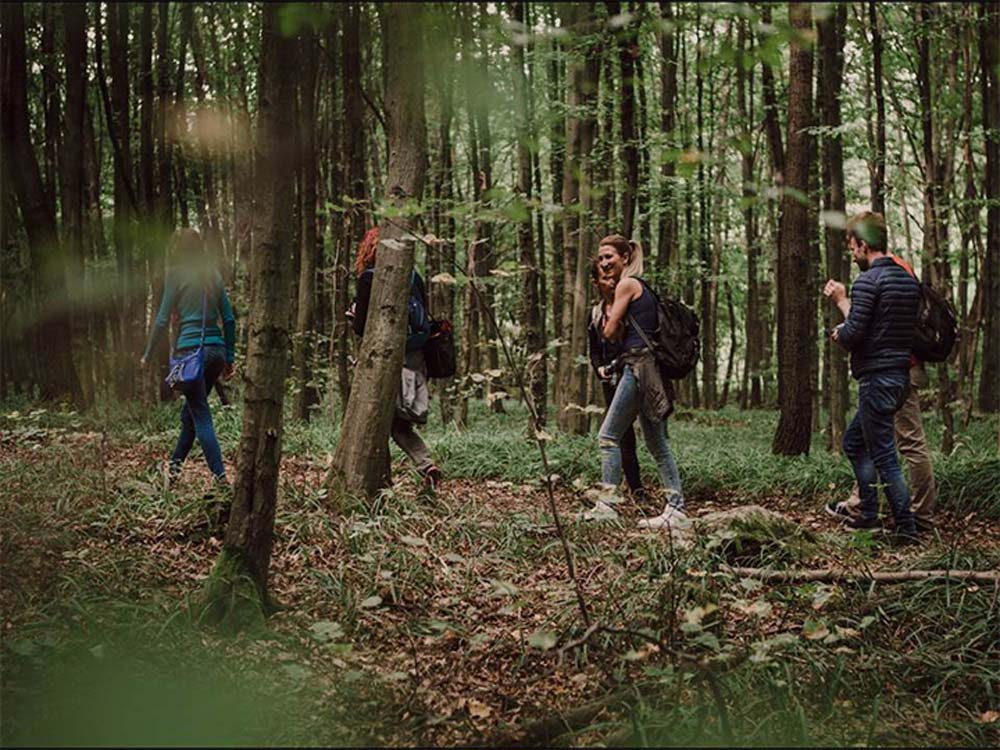 Mikus Kata fotográfus vizsgaremek 