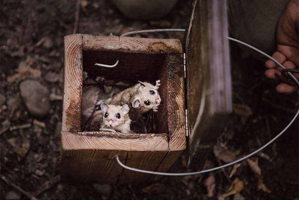 Mikus Kata fotográfus vizsgaremek 