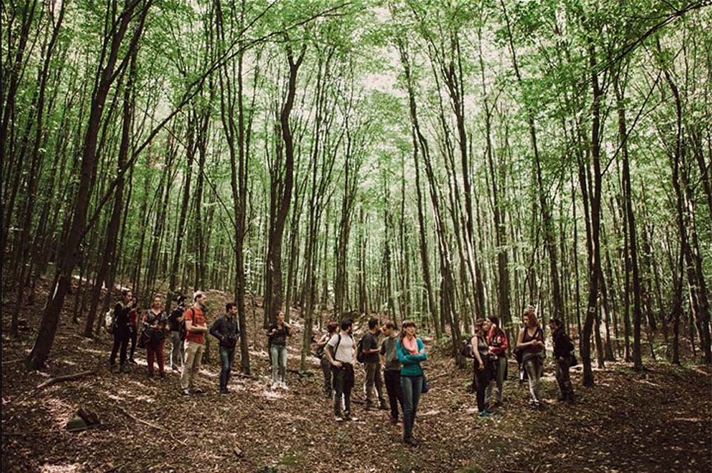 Mikus Kata fotográfus vizsgaremek 