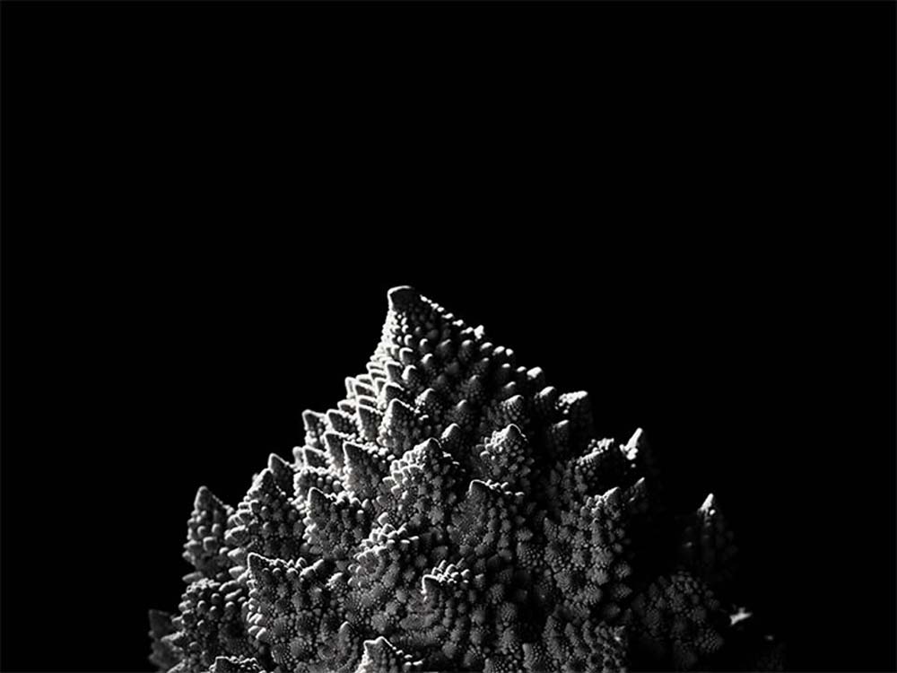 Mikus Kata fotográfus vizsgaremek 