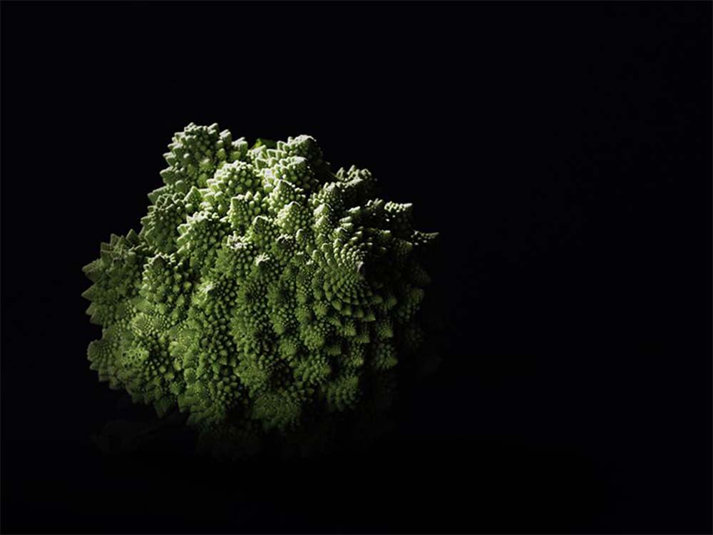 Mikus Kata fotográfus vizsgaremek 