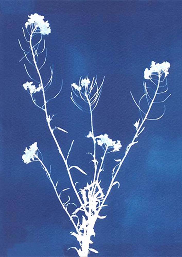 Sekercioglu Hajnalka fotográfus vizsgaremek 