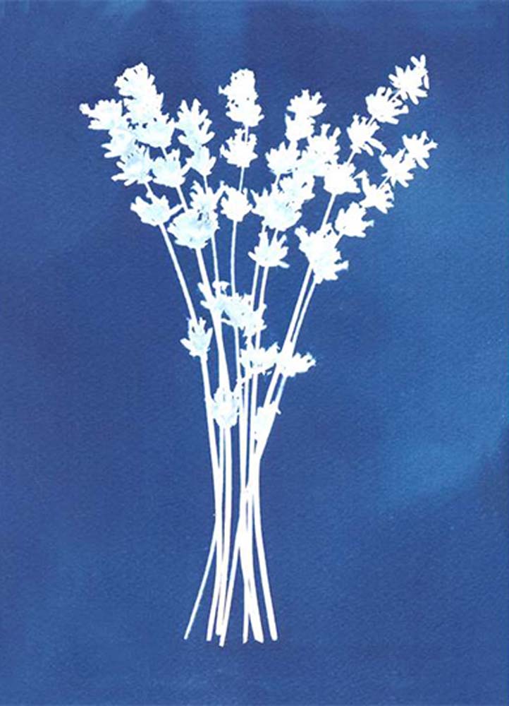 Sekercioglu Hajnalka fotográfus vizsgaremek 