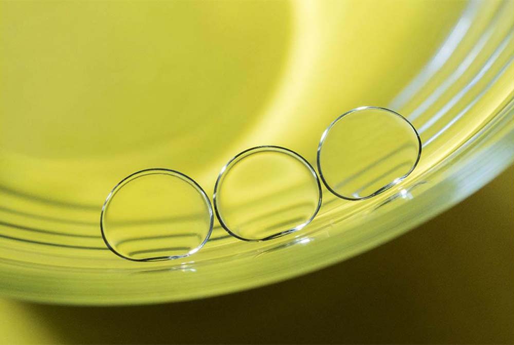 Sekercioglu Hajnalka fotográfus vizsgaremek 