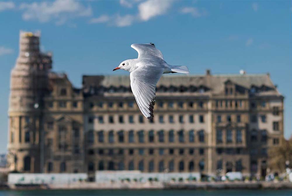 Sekercioglu Hajnalka fotográfus vizsgaremek 