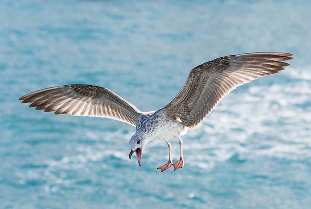 Sekercioglu Hajnalka fotográfus vizsgaremek 