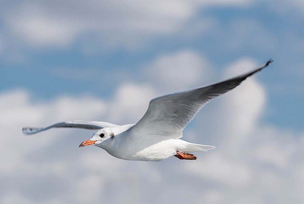 Sekercioglu Hajnalka fotográfus vizsgaremek 