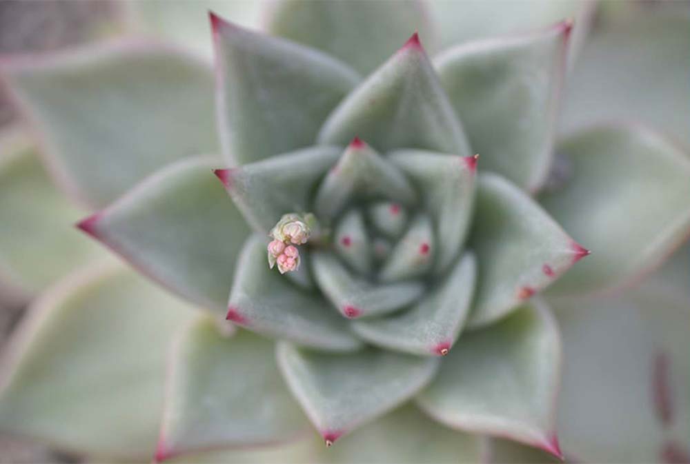 Sekercioglu Hajnalka fotográfus vizsgaremek 