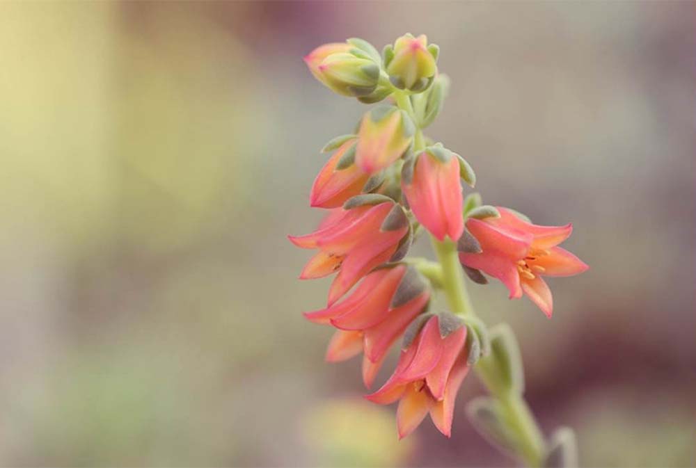 Sekercioglu Hajnalka fotográfus vizsgaremek 