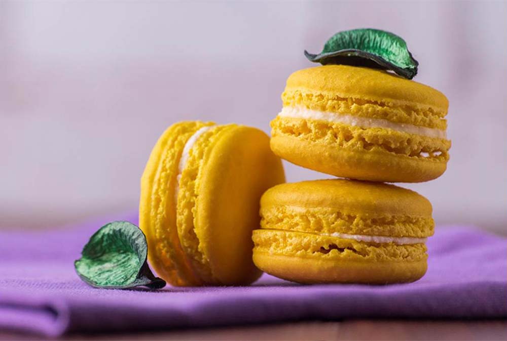 Sekercioglu Hajnalka fotográfus vizsgaremek 