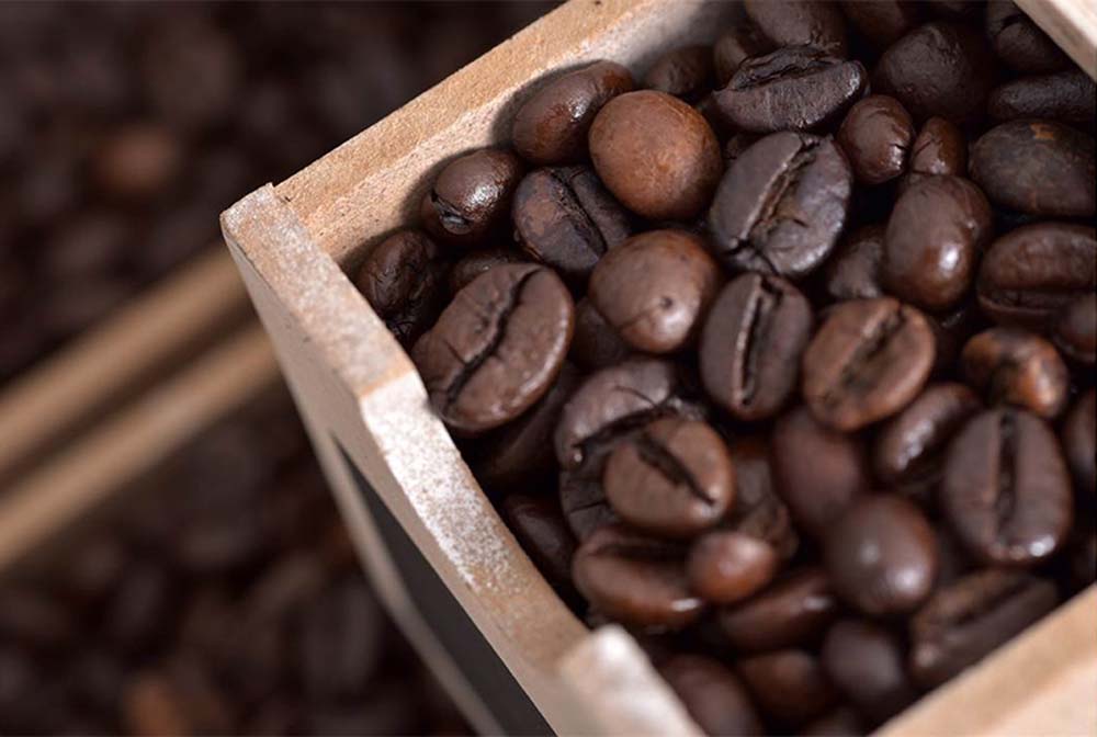 Sekercioglu Hajnalka fotográfus vizsgaremek 