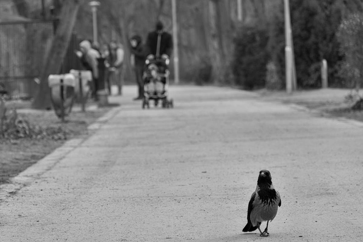 Baráti Ágnes fotográfus vizsgaremek 
