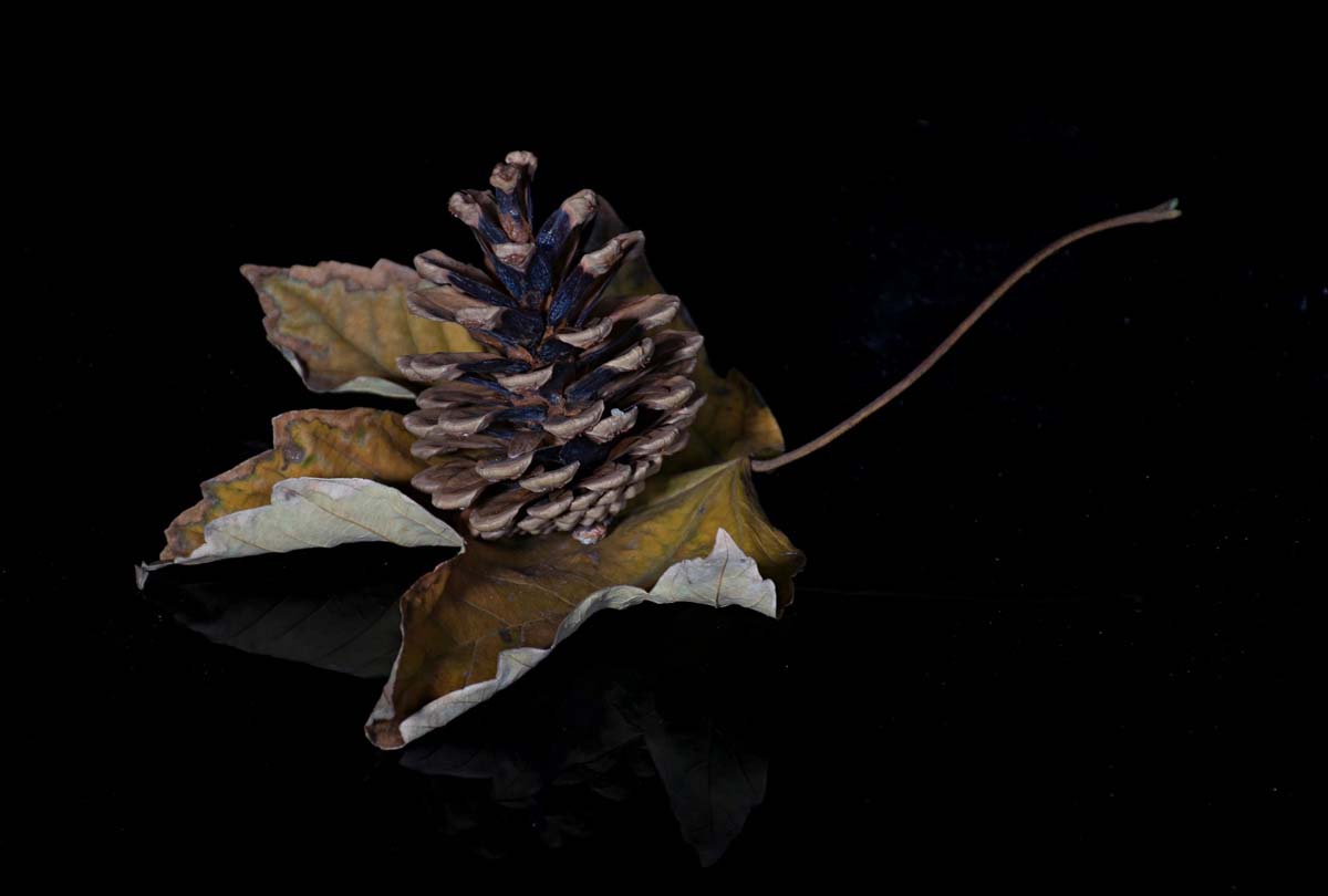 Baráti Ágnes fotográfus vizsgaremek 