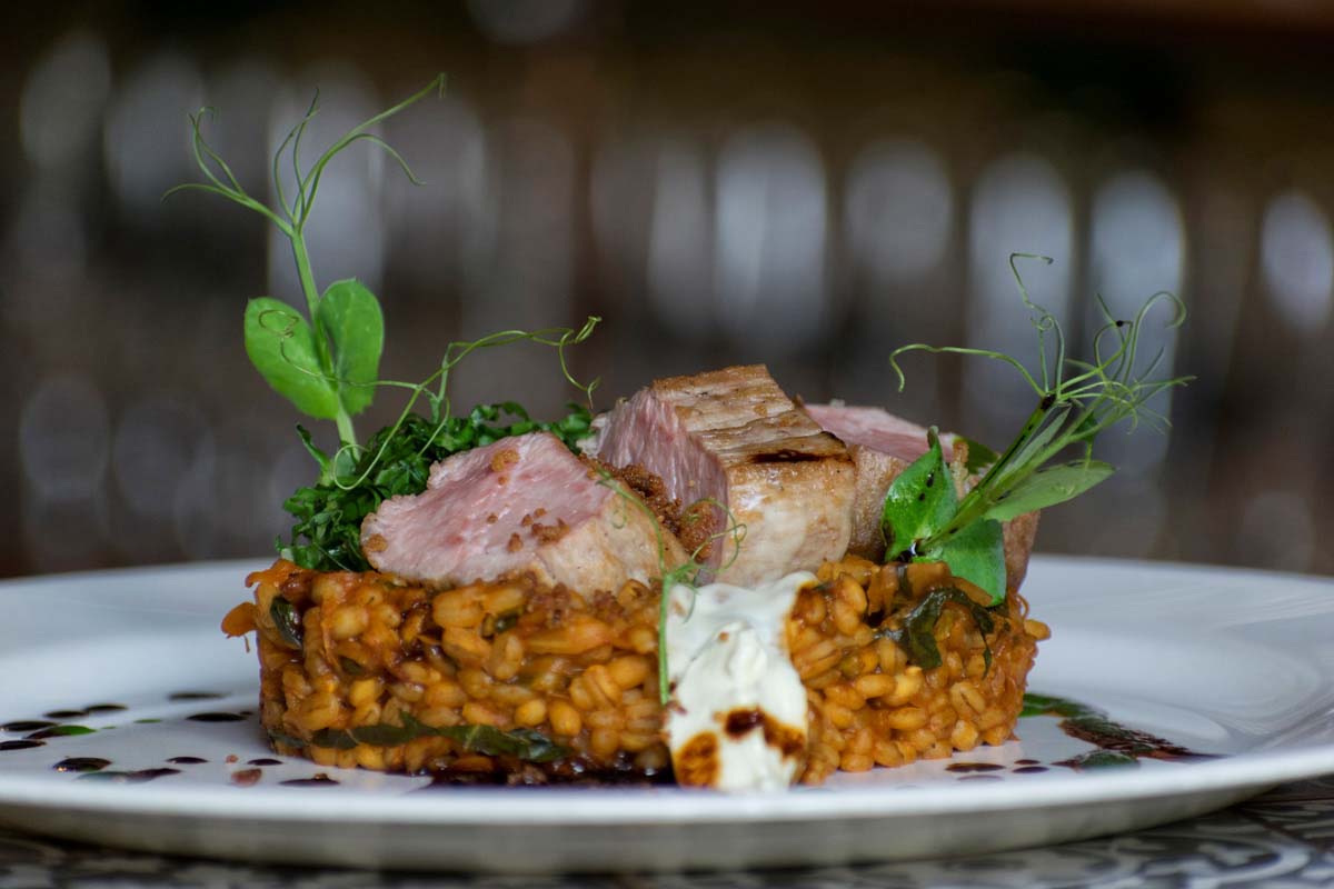 Baráti Ágnes fotográfus vizsgaremek 