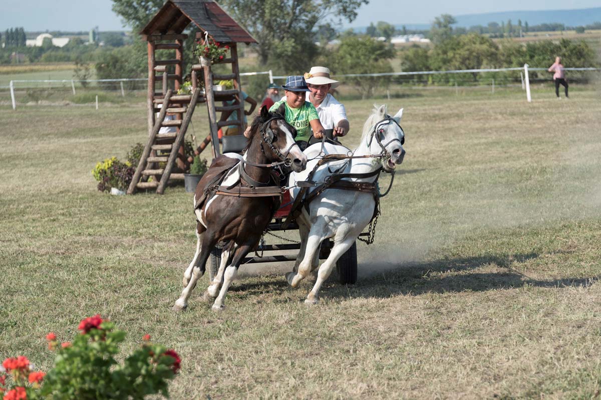 Baráti Ágnes fotográfus vizsgaremek 