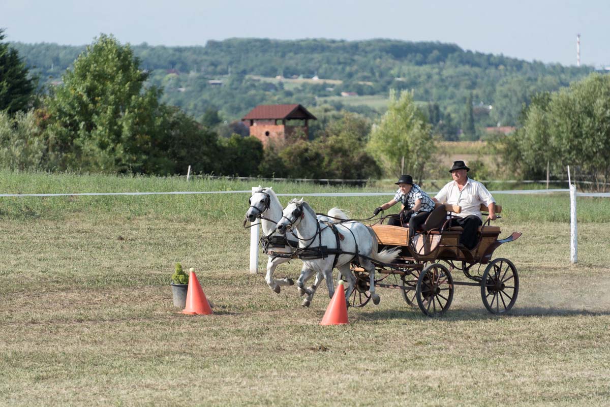 Baráti Ágnes fotográfus vizsgaremek 