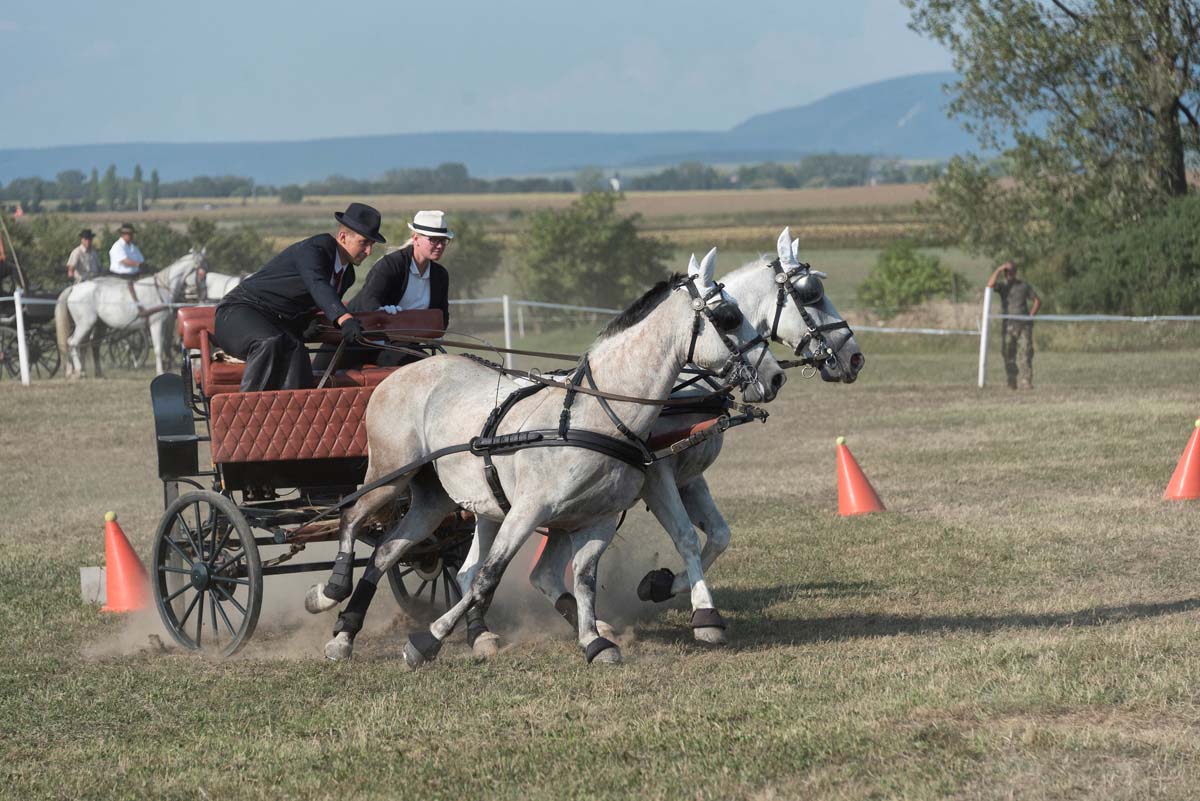 Baráti Ágnes fotográfus vizsgaremek 