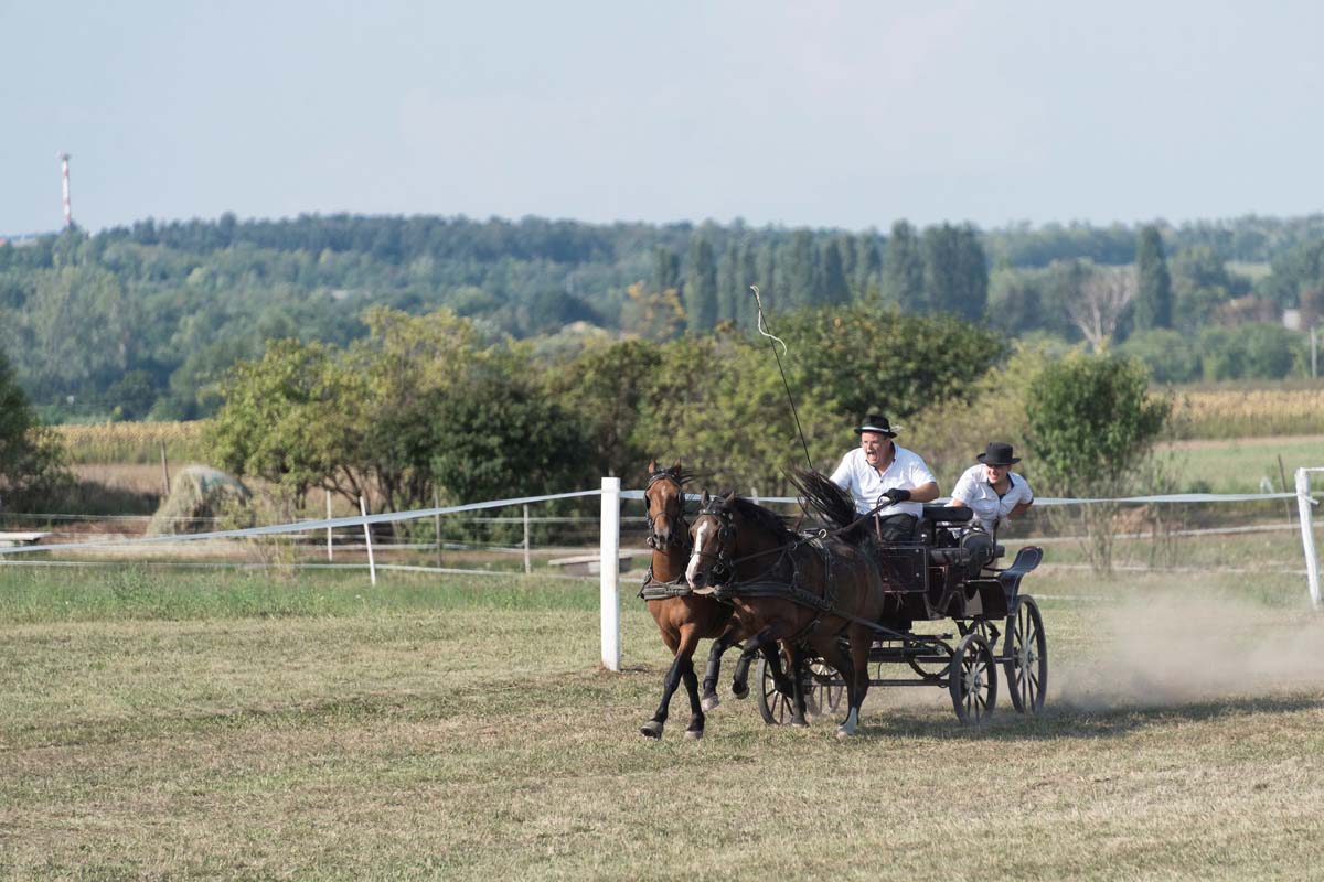 Baráti Ágnes fotográfus vizsgaremek 