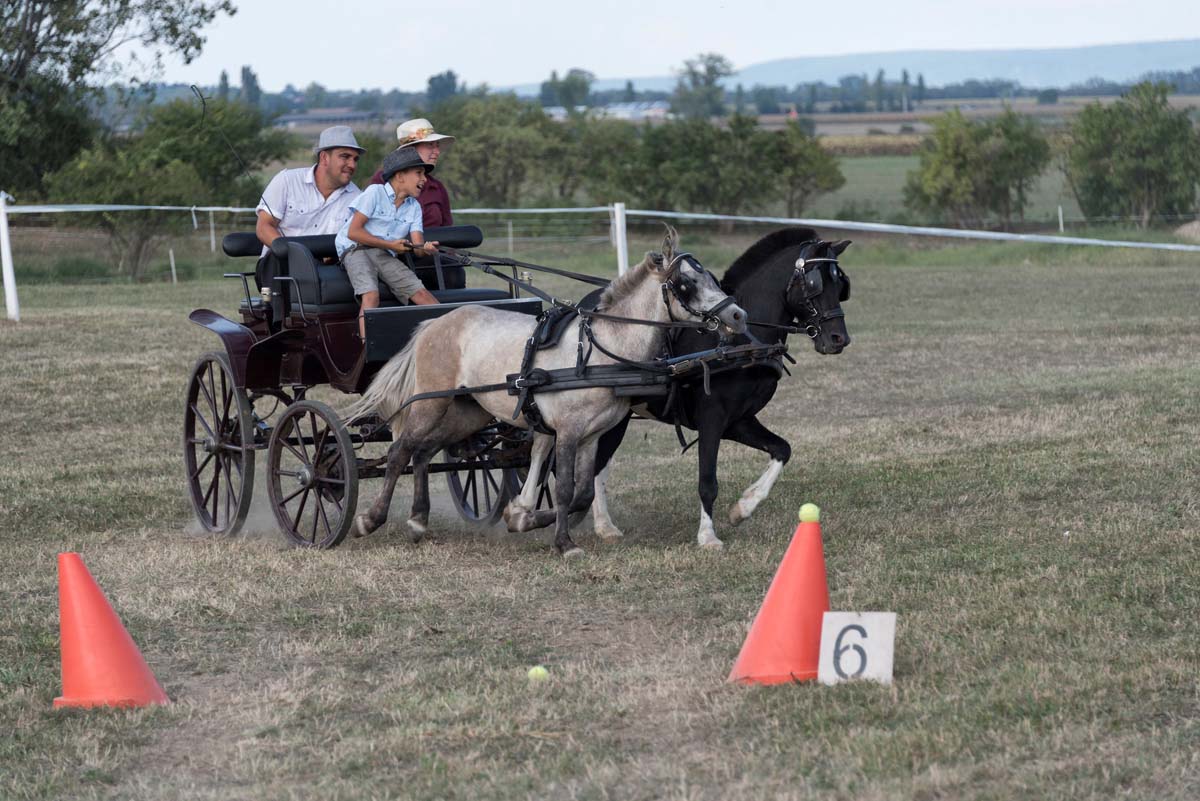 Baráti Ágnes fotográfus vizsgaremek 