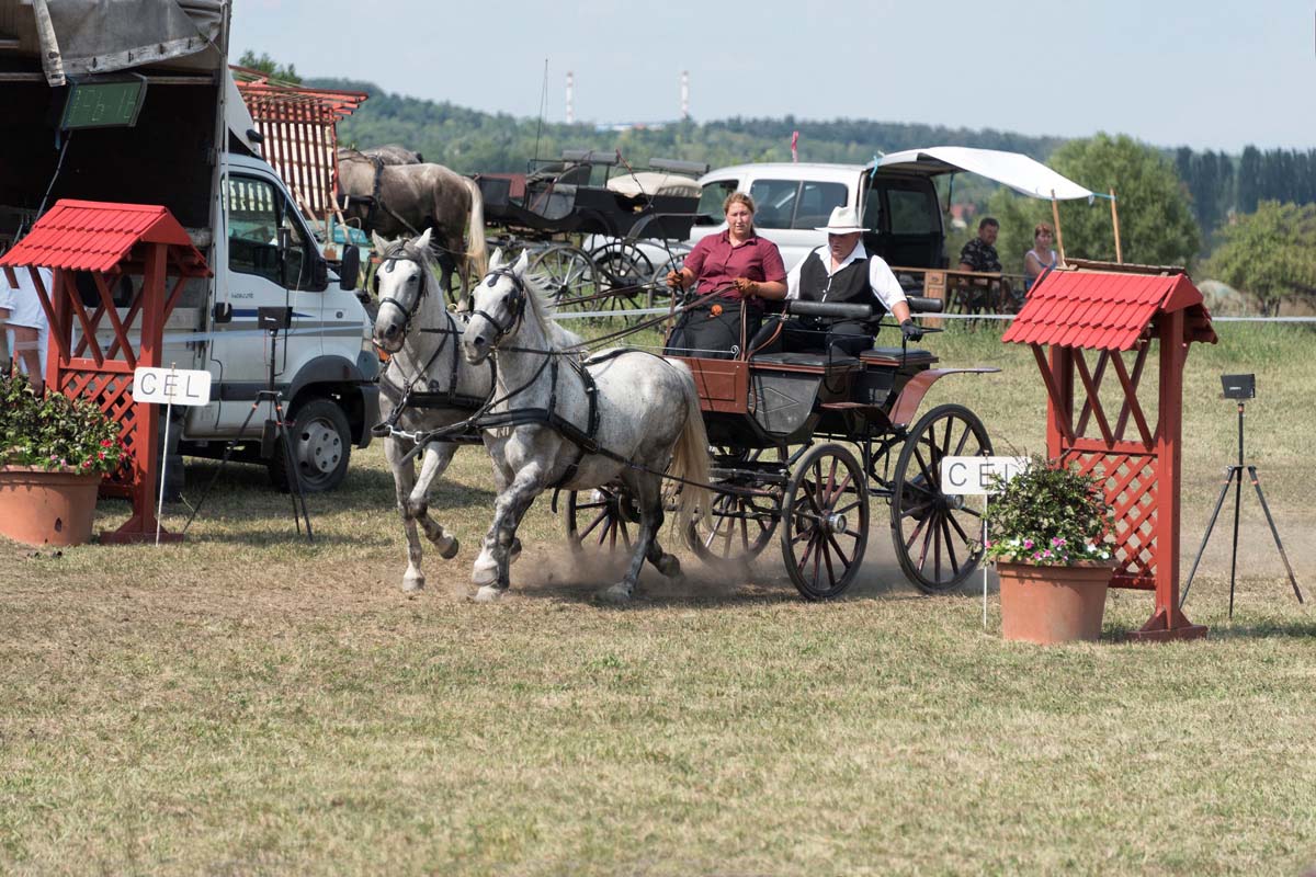 Baráti Ágnes fotográfus vizsgaremek 
