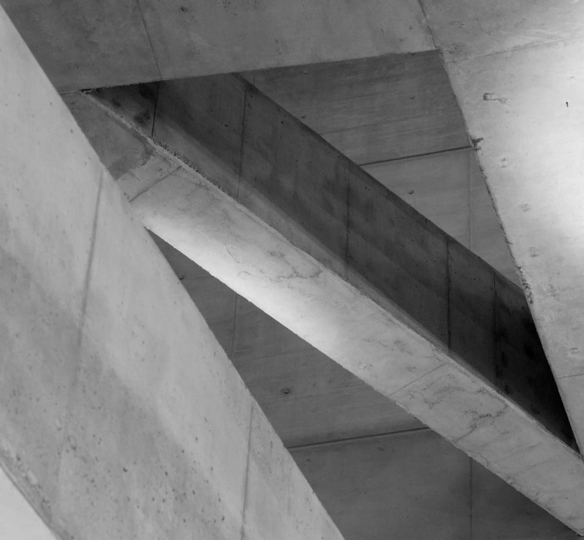 Baráti Ágnes fotográfus vizsgaremek 