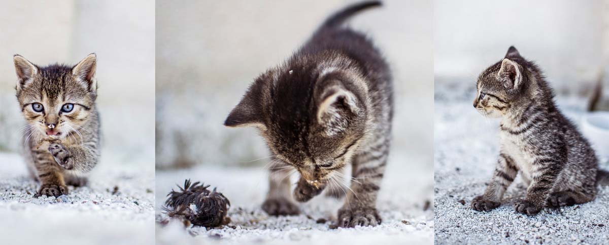 Csóriné Mrázik Orsolya fotográfus vizsgaremek 