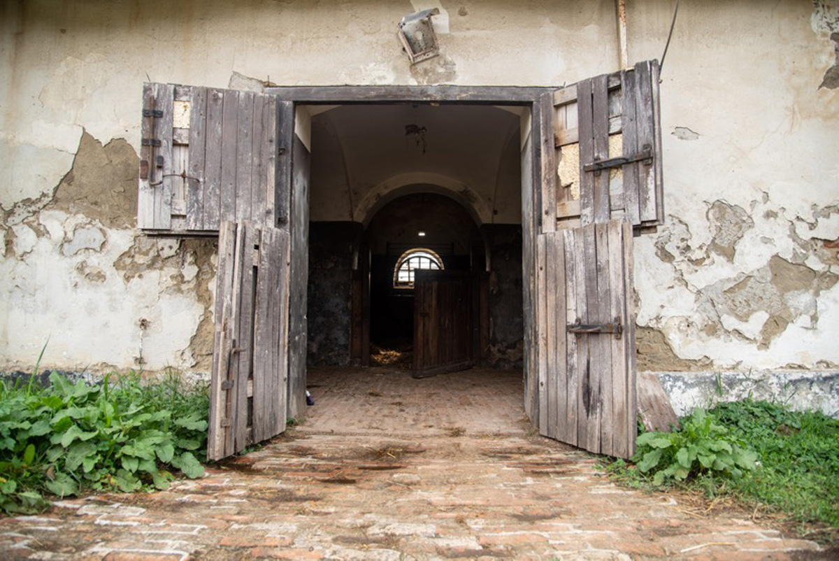 Csóriné Mrázik Orsolya fotográfus vizsgaremek 