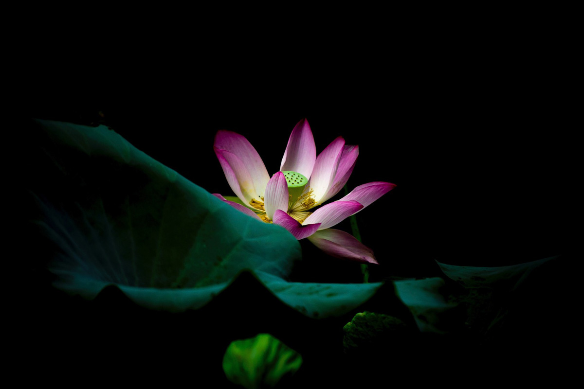 Csóriné Mrázik Orsolya fotográfus vizsgaremek 