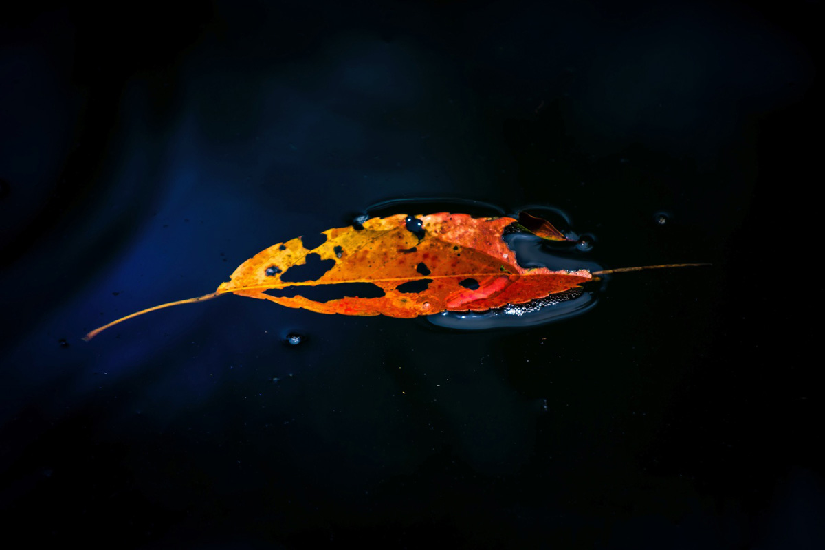 Csóriné Mrázik Orsolya fotográfus vizsgaremek 